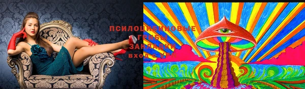 круглые Гатчина