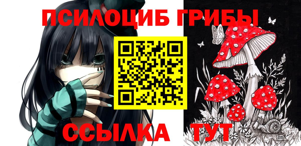 Галлюциногенные грибы GOLDEN TEACHER Ирбит