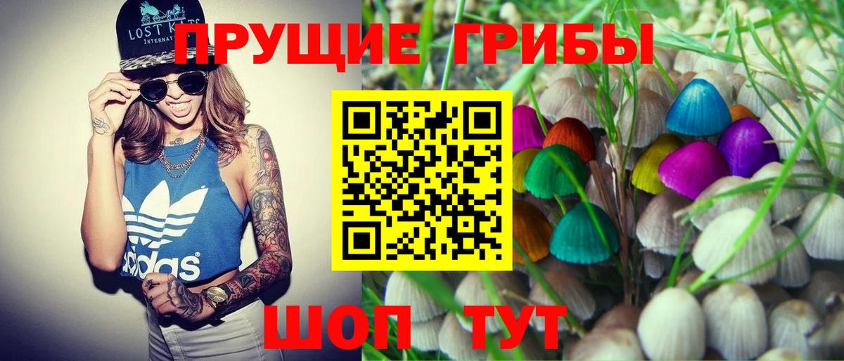 Галлюциногенные грибы Psilocybine cubensis  Галлюциногенные грибы MAGIC MUSHROOMS  Ирбит  Вход с VPN 